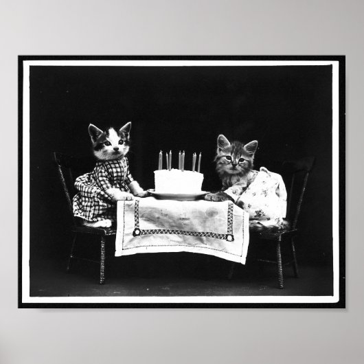 Katzen und Geburtstagskuchen Antikes Foto Poster (Vorne)