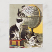Katzen und Globe Postkarte (Vorderseite)