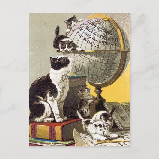 Katzen und Globus Postkarte (Vorderseite)