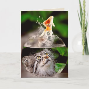 Katzen- und Goldfisch-Grußkarte Karte