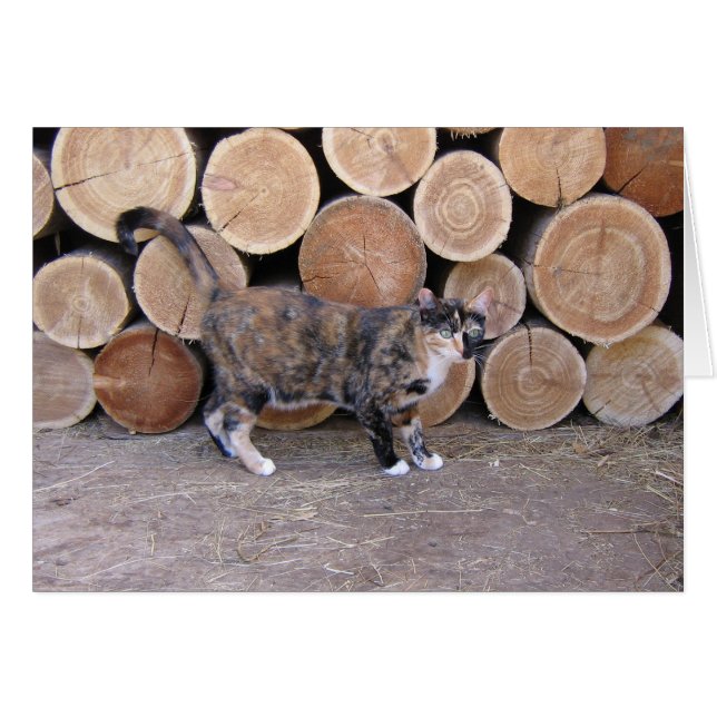 Katzen- und Holzkarte (Vorderseite (Horizontal))