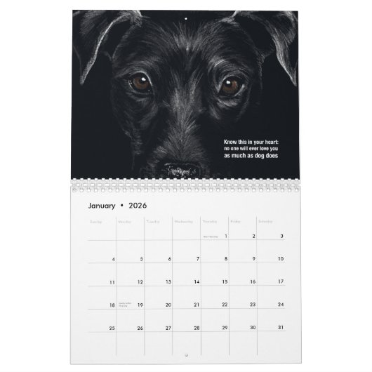 Katzen und Hunde 2021 Haiku-Kalender Kalender (Jan 2026)