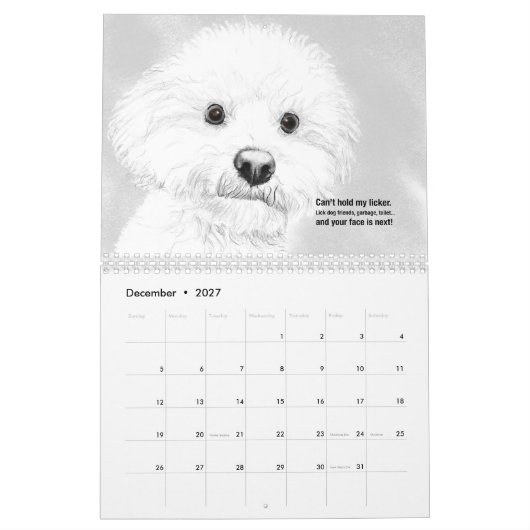 Katzen und Hunde 2021 Haiku-Kalender Kalender (Dez 2027)