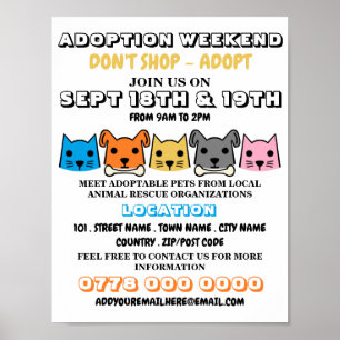 Katzen und Hunde, Adoption von Haustieren Poster