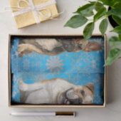 Katzen und Hunde tierärztliches Gewebe Seidenpapier (Geschenk)