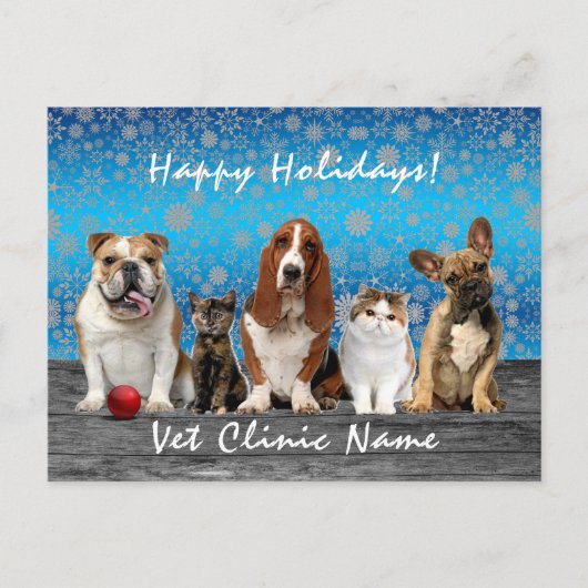  Katzen und Hunde Weihnachten im Veterinärbereich Postkarte (Vorderseite)