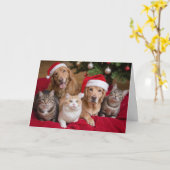 Katzen und Hunde Weihnachtskarte Karte (Gelbe Blume)