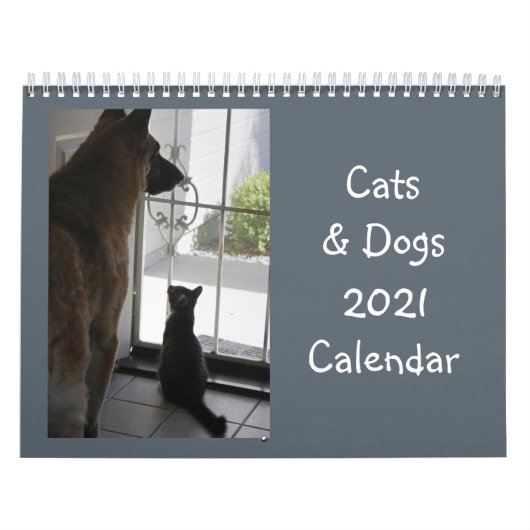 Katzen- und Hundekalender Kalender (Titelbild)