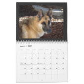 Katzen- und Hundekalender Kalender (Mär 2027)