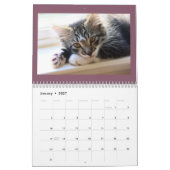 Katzen- und Hundekalender Kalender (Jan 2027)