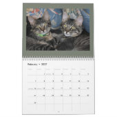 Katzen- und Hundekalender Kalender (Feb 2027)