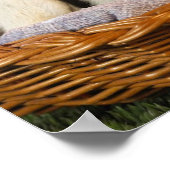 Katzen- und Hundeplakat Poster (Ecke)