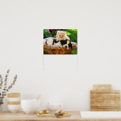 Katzen- und Hundeplakat Poster (Küche)