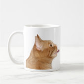 Katzen und Kaffee Kaffeetasse (Links)