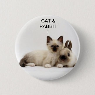 Katzen und Kaninchen / Cat and Rabbit Siamois! Bad Button