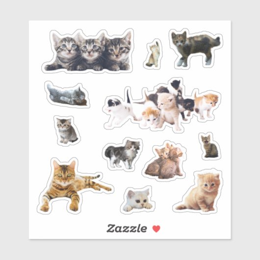 Katzen und Kätzchen Fotos Set Kontur Aufkleber (Blatt)