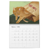 Katzen und Kätzchen Kalender (Feb 2026)