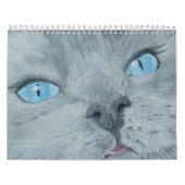 Katzen und Kätzchen Kalender (Titelbild)