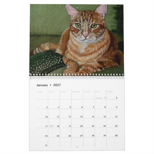 Katzen und Kätzchen Kalender (Jan 2027)