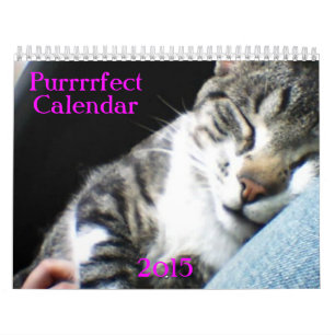 Katzen- und Kätzchenkalender 2015 Kalender