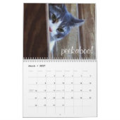 Katzen- und Kätzchenkalender 2015 Kalender (Mär 2027)