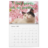 Katzen- und Kätzchenkalender 2015 Kalender (Jan 2027)