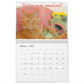 Katzen- und Kätzchenkalender 2015 Kalender (Feb 2027)