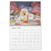 Katzen und Kätzchenkalender 2019 Kalender (Feb 2027)