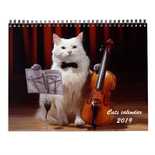 Katzen und Kätzchenkalender 2019 Kalender (Rückseite)