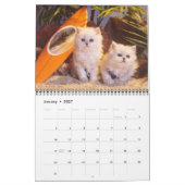 Katzen und Kätzchenkalender 2019 Kalender (Jan 2027)