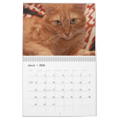Katzen und Kitten Kalender (Mär 2026)