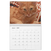 Katzen und Kitten Kalender (Mär 2027)