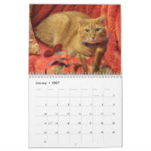 Katzen und Kitten Kalender (Jan 2027)