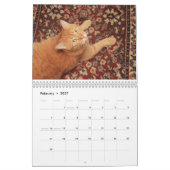Katzen und Kitten Kalender (Feb 2027)