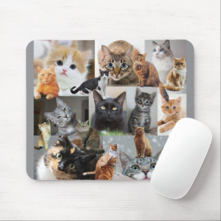 Katzen und Kitten Mousepad