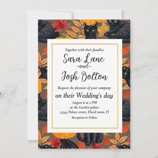 Katzen und Kürbis 2 Einladung (Vorderseite)