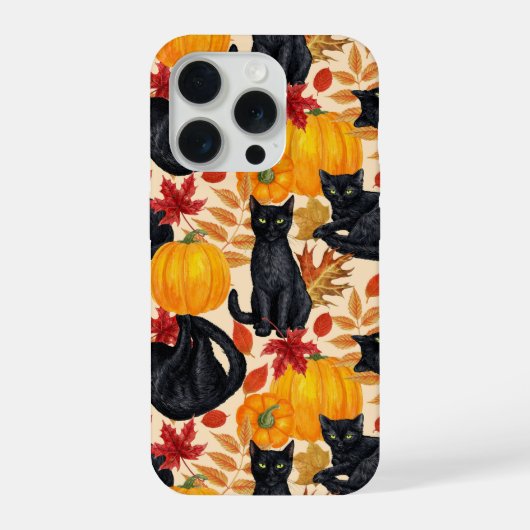 Katzen und Kürbis iPhone Hülle (Rückseite)