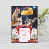 Katzen und Maus Einladung (Stehend Vorderseite)