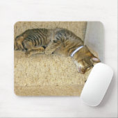 Katzen- und Mäuseanstarrenwettbewerb Mousepad (Mit Mouse)