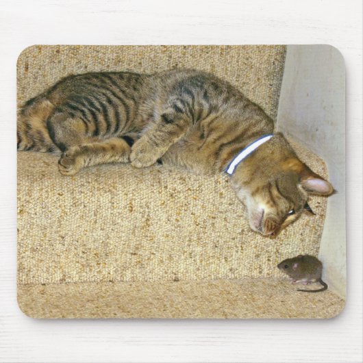 Katzen- und Mäuseanstarrenwettbewerb Mousepad (Vorne)