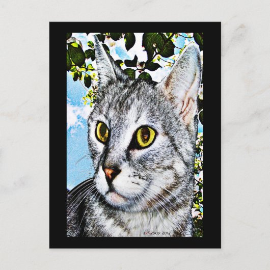 Katzen und Natur "in voller Blüte" Digitale Kunst Postkarte (Vorderseite)