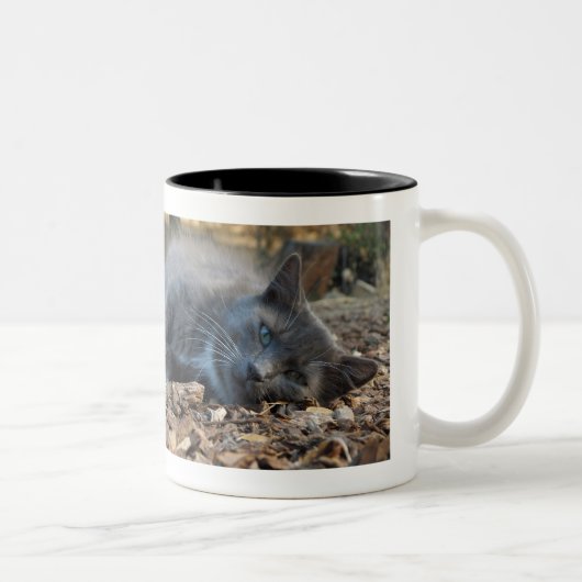 Katzen und Nickerchen Schlaflosigkeit Schattige Ta Zweifarbige Tasse (Rechts)