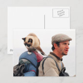 Katzen und Obdachlose Postkarte (Vorne/Hinten)