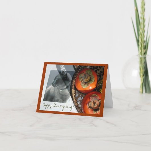 Katzen und Persimmonen Feiertagskarte (Vorderseite)