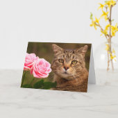 Katzen und Rose werden gut Karte (Gelbe Blume)