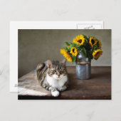 Katzen und Sonnenblumen Postkarte (Vorne/Hinten)