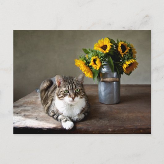 Katzen und Sonnenblumen Postkarte (Vorderseite)
