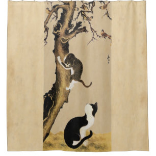 Katzen und Spatzen Duschvorhang