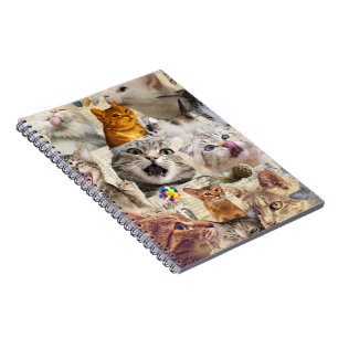 Katzen und Spielzeug Collage Notizblock