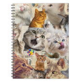 Katzen und Spielzeug Collage Notizblock (Vorderseite)